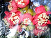 durianredflowers.jpg