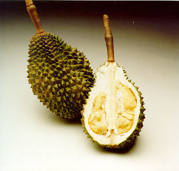 durianchanee.jpg